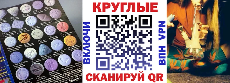 Ecstasy XTC  Купить где  Олонец 