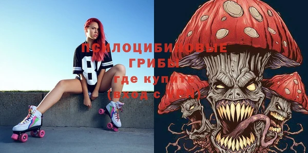 jwh Белокуриха