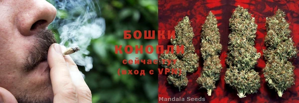 jwh Белокуриха