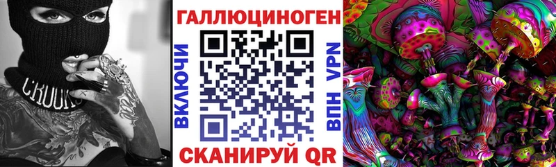 Купить закладки  Олонец  Псилоцибиновые грибы мицелий 